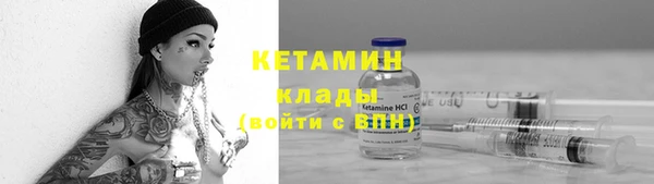 шишки Армянск